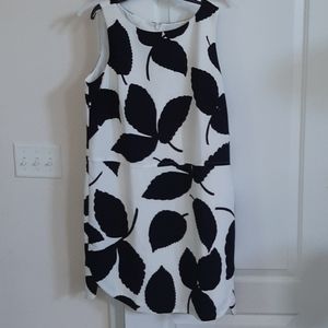 Ann Taylor dress nwt